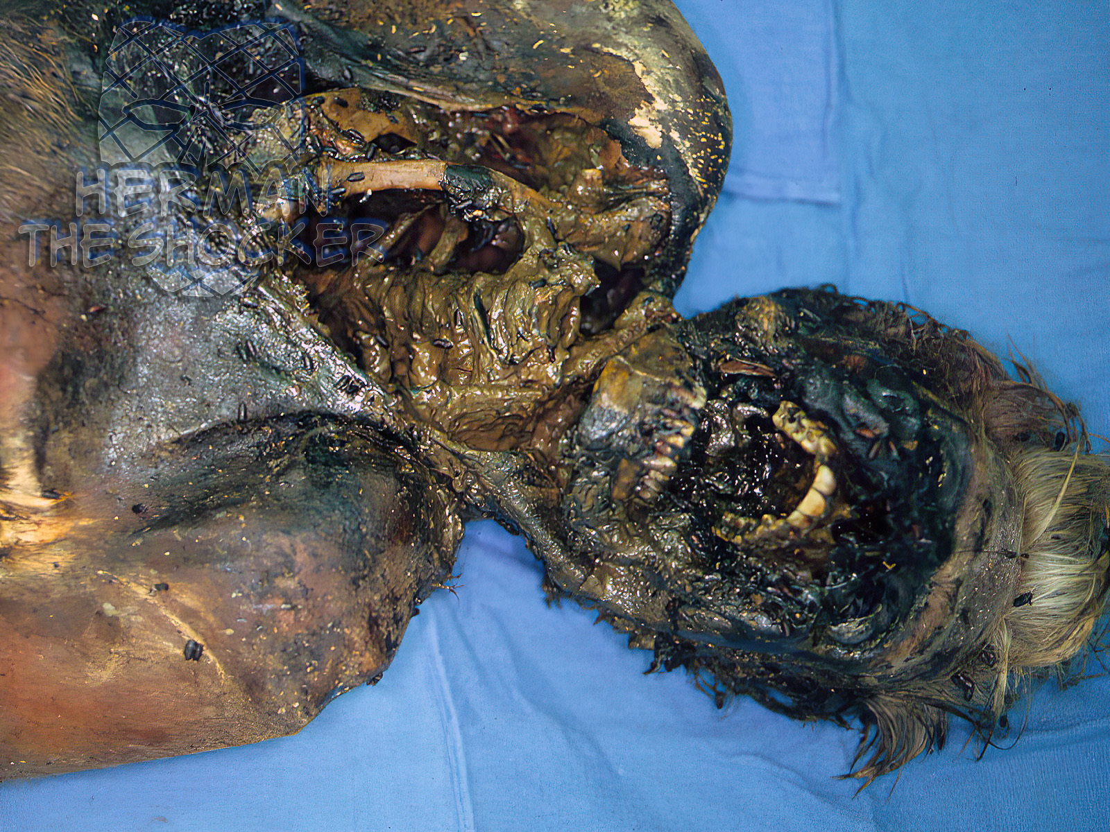 Badly decomposed bodies are typically not visually identifiable
