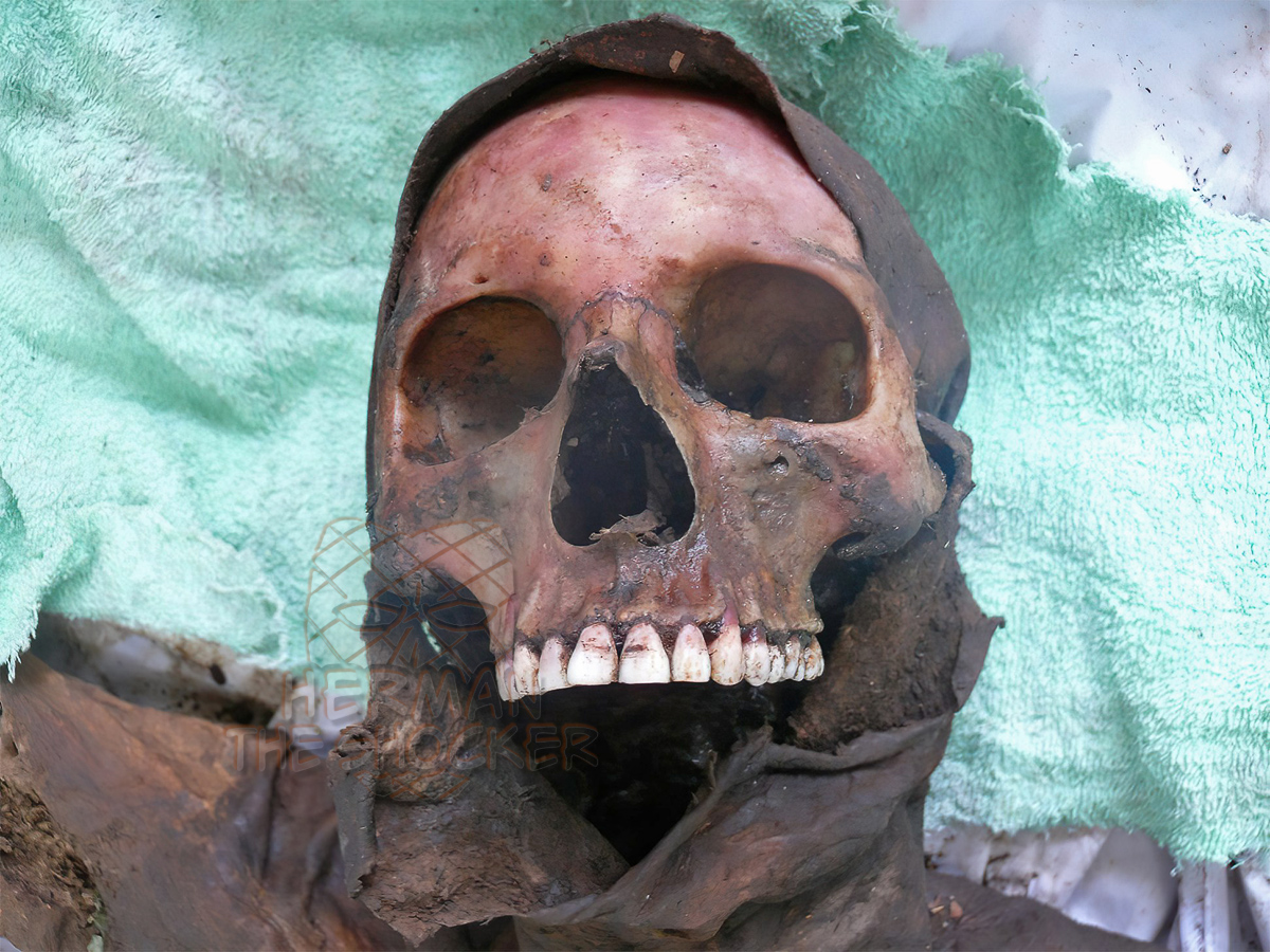 Skeletonization and mummification