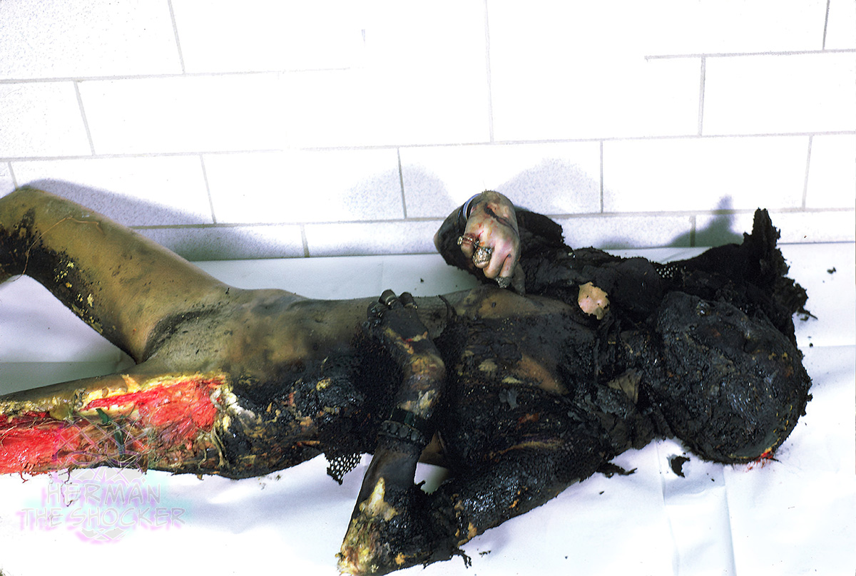 Animal feeding on badly burned body