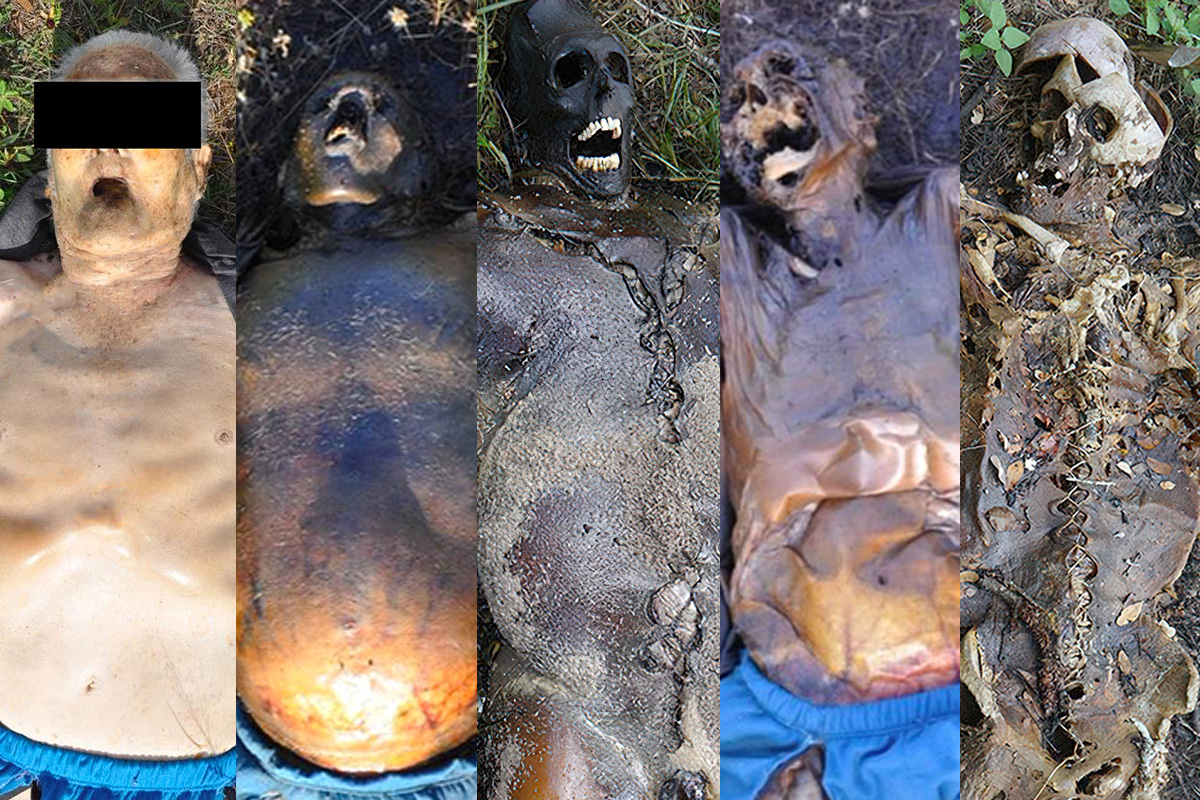 The five stages of decomposition