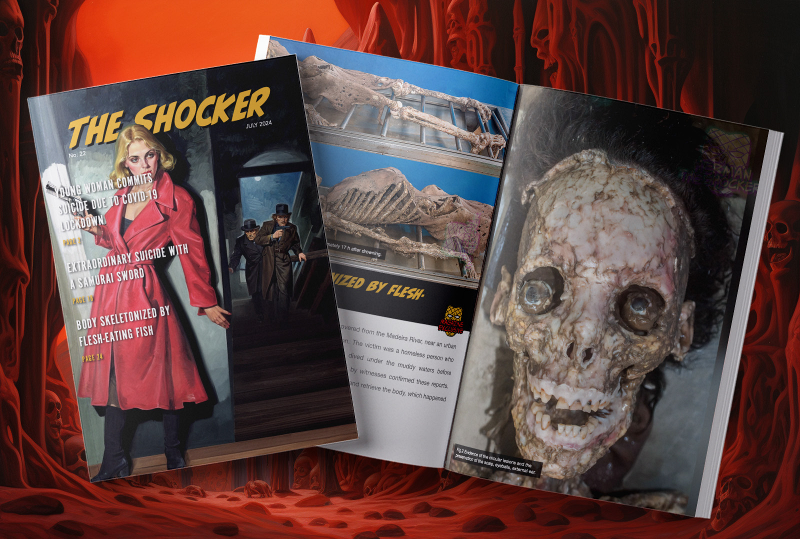 Subscribe To Get The Latest Monthly Magazine
