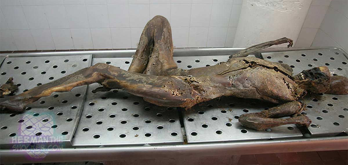 Mummified body