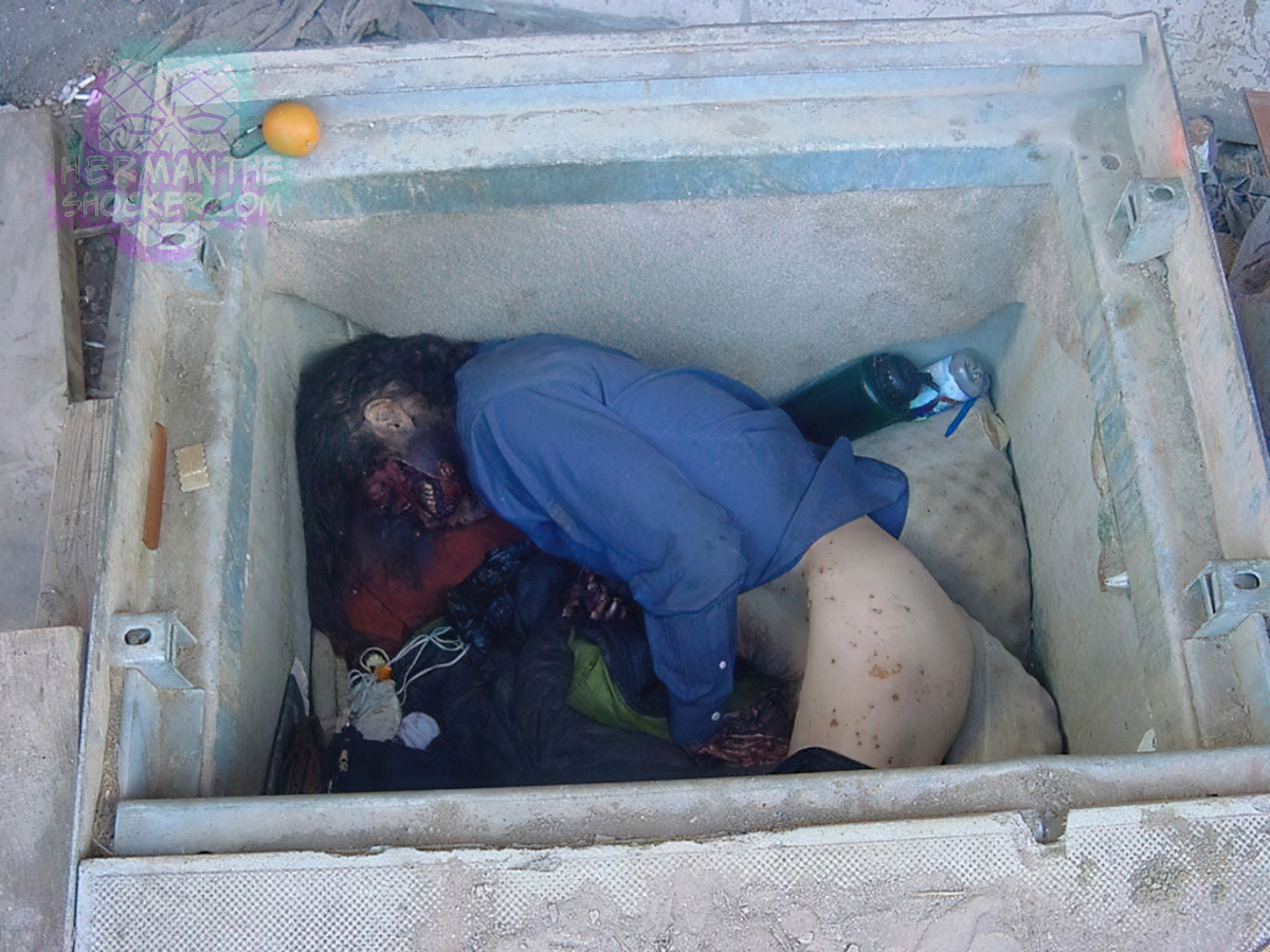 Homeless man found dead in concrete shelter