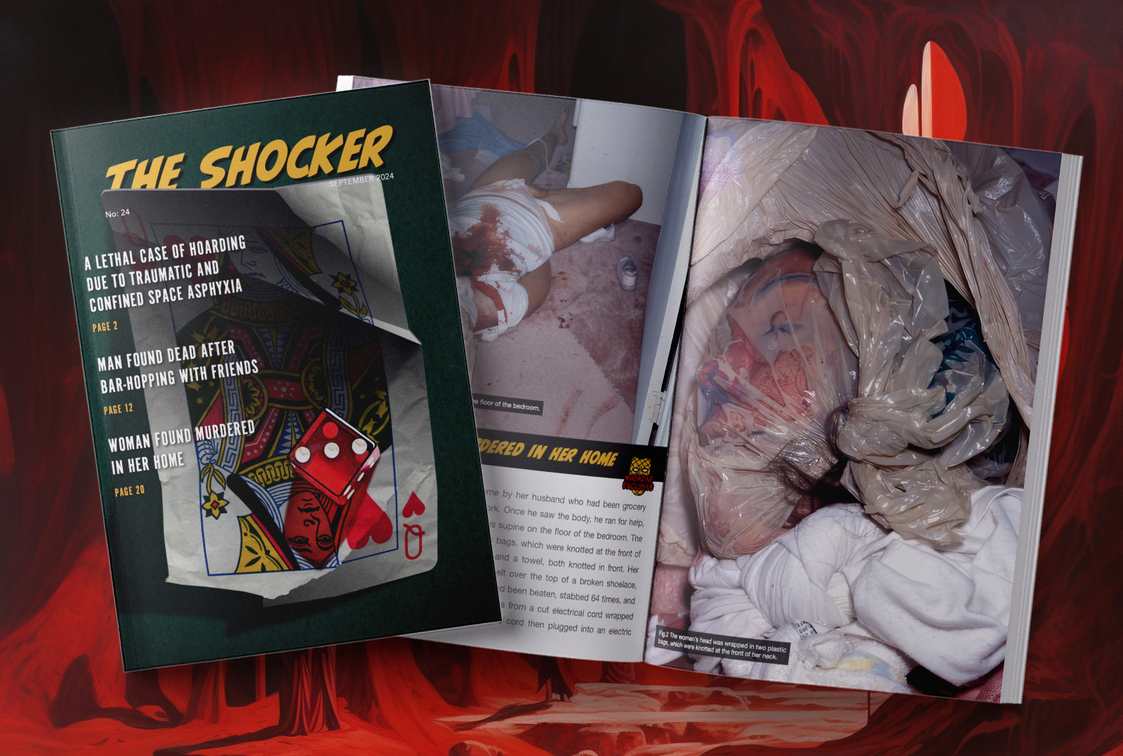 Subscribe To Get The Latest Monthly Magazine