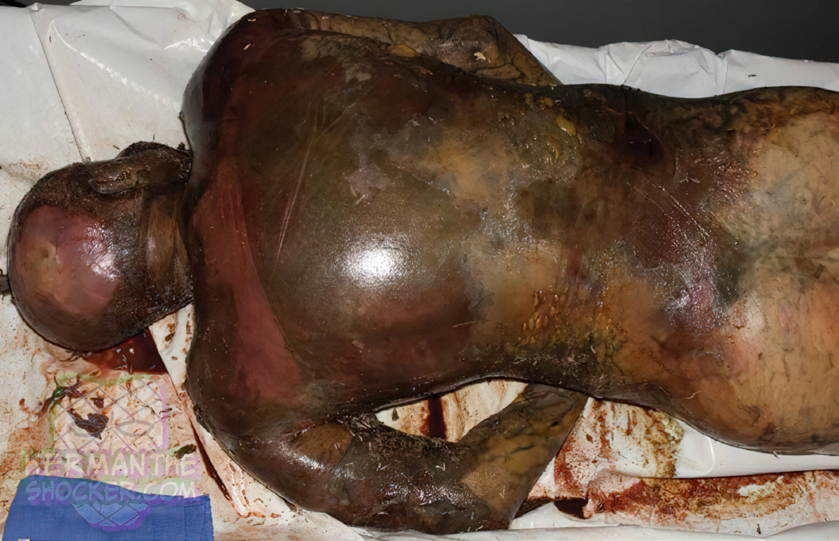 Decomposed body found in a car
