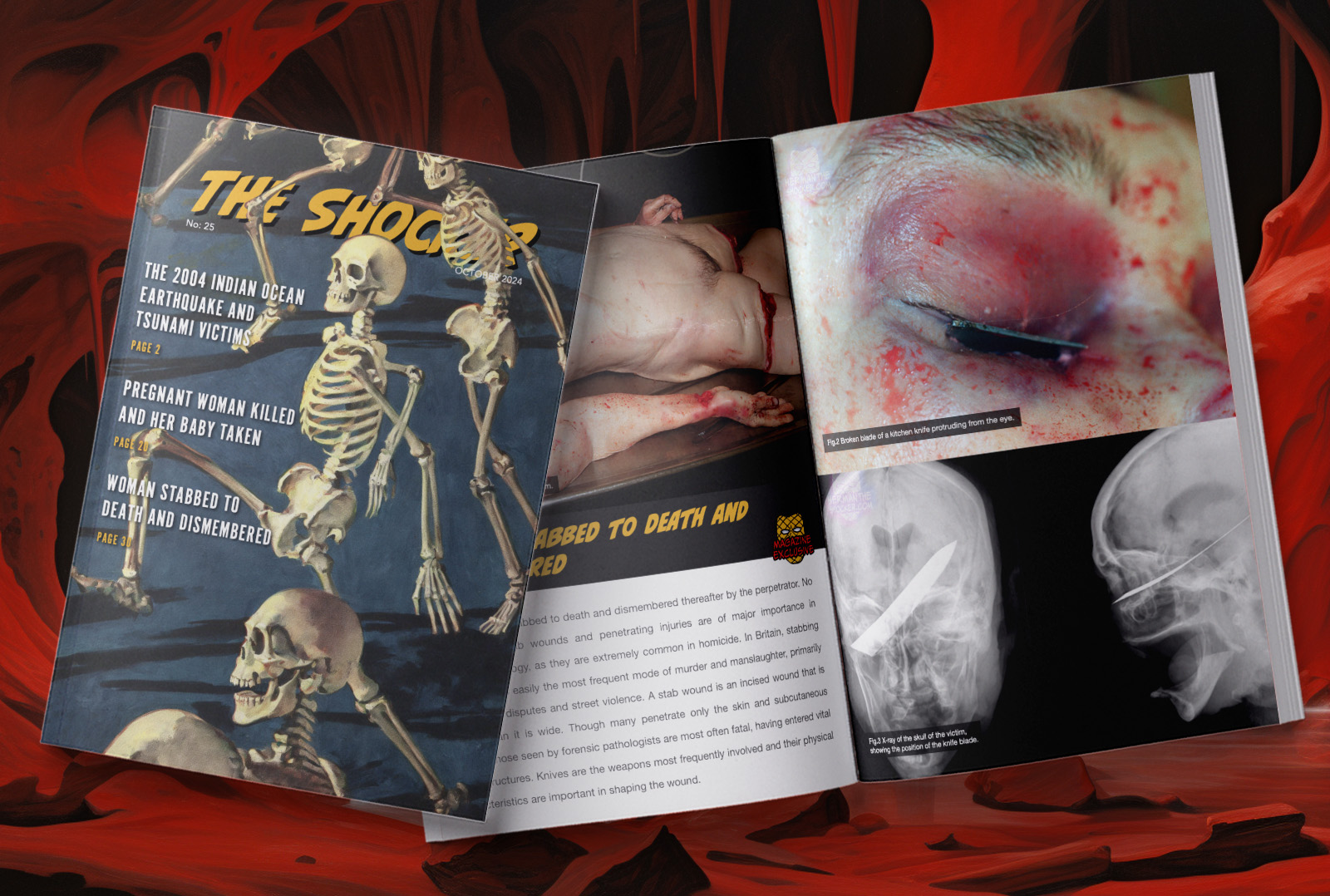 Subscribe To Get The Latest Monthly Magazine
