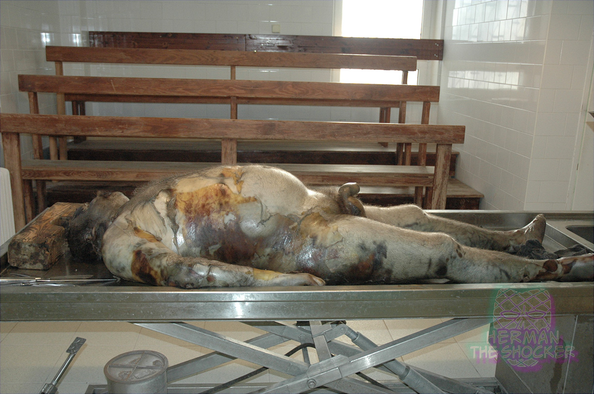 Decomposing individual