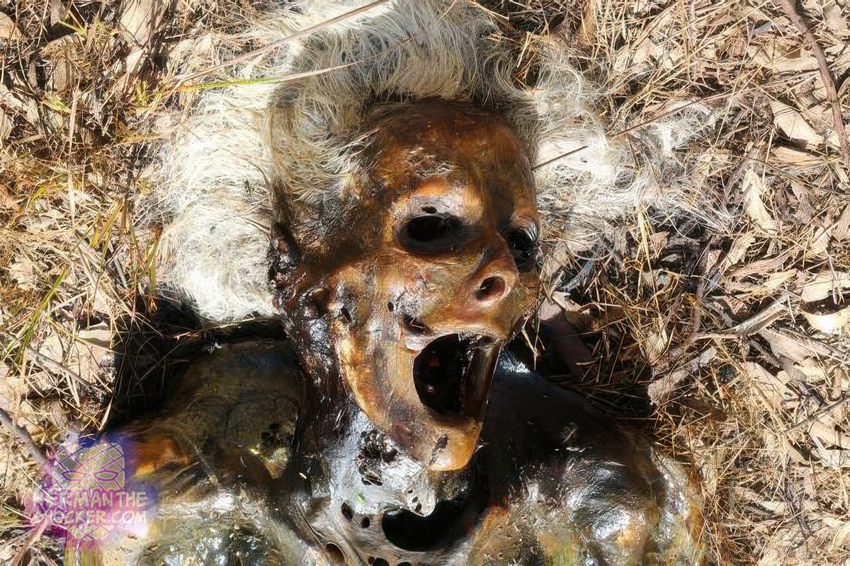 A cadaver at an Australian body farm