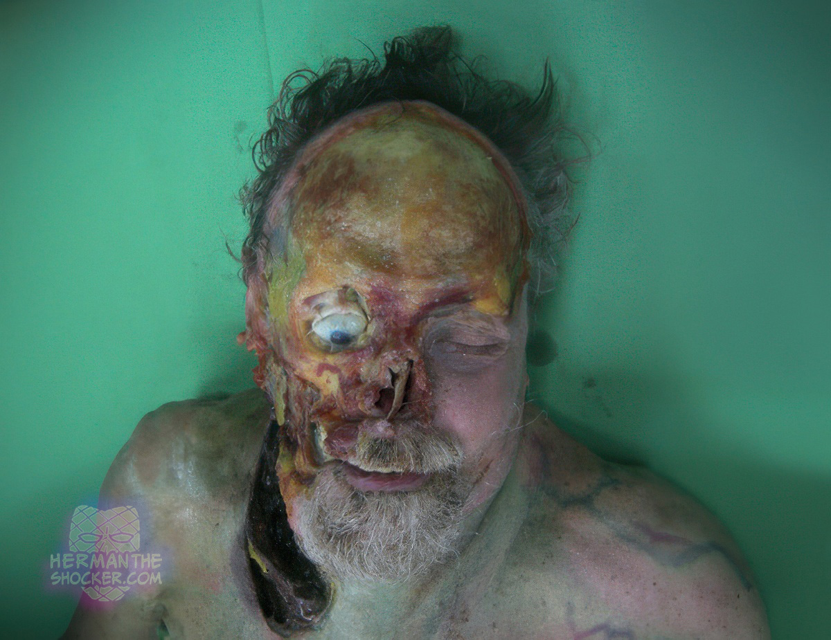 Postmortem injuries inflicted by a domestic dog