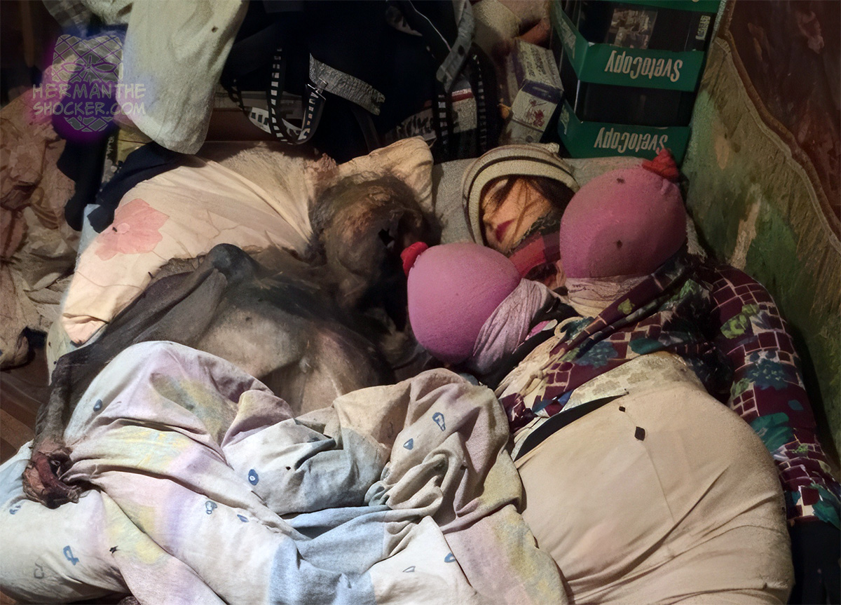 Mummified pensioner and his homemade sex doll
