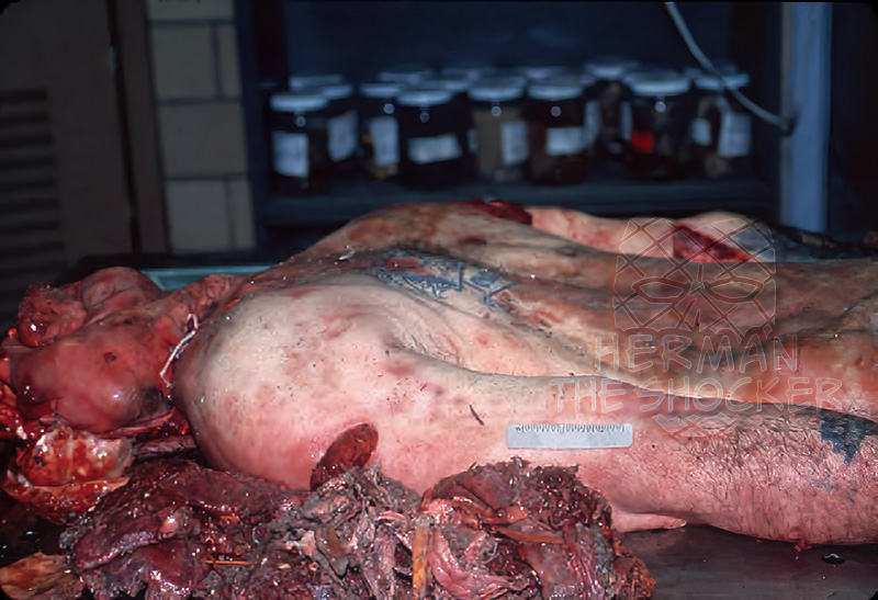 Shot in the head and processed through a garbage compactor