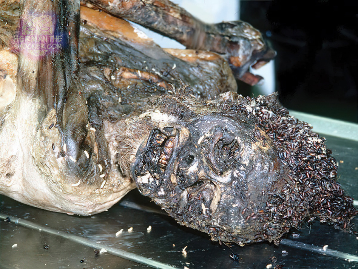 Mummified body of an elderly male