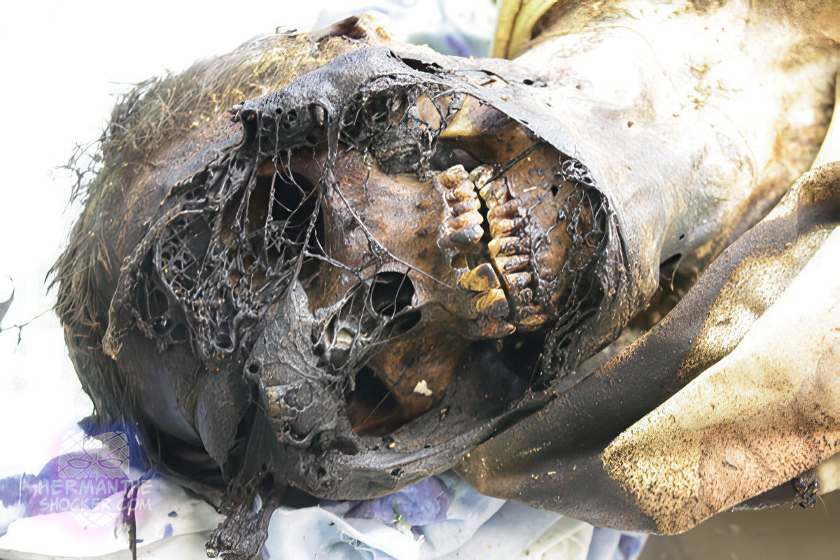 Woman found mummified in her apartment