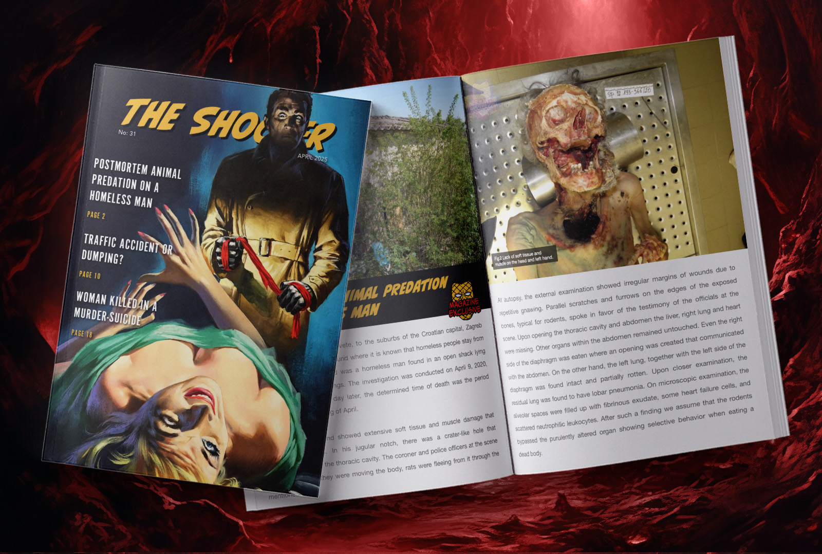 Subscribe To Get The Latest Monthly Magazine