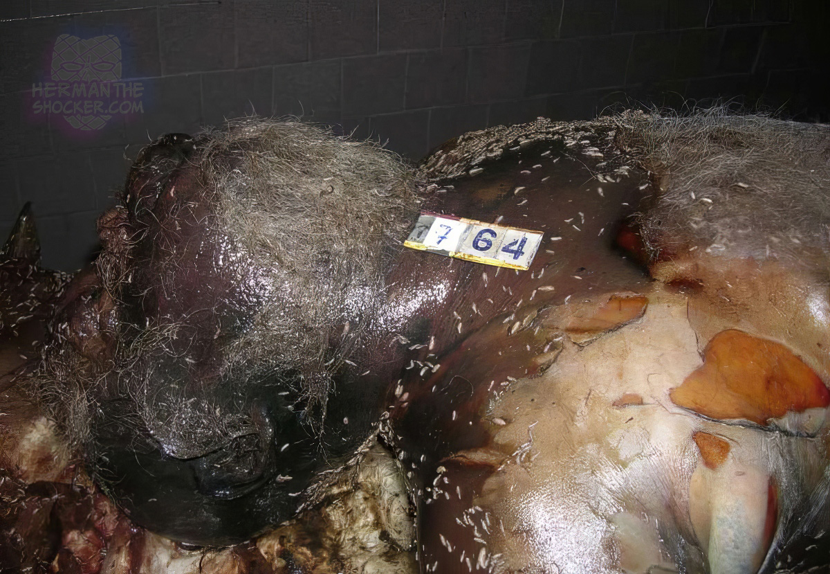 Decomposing individual