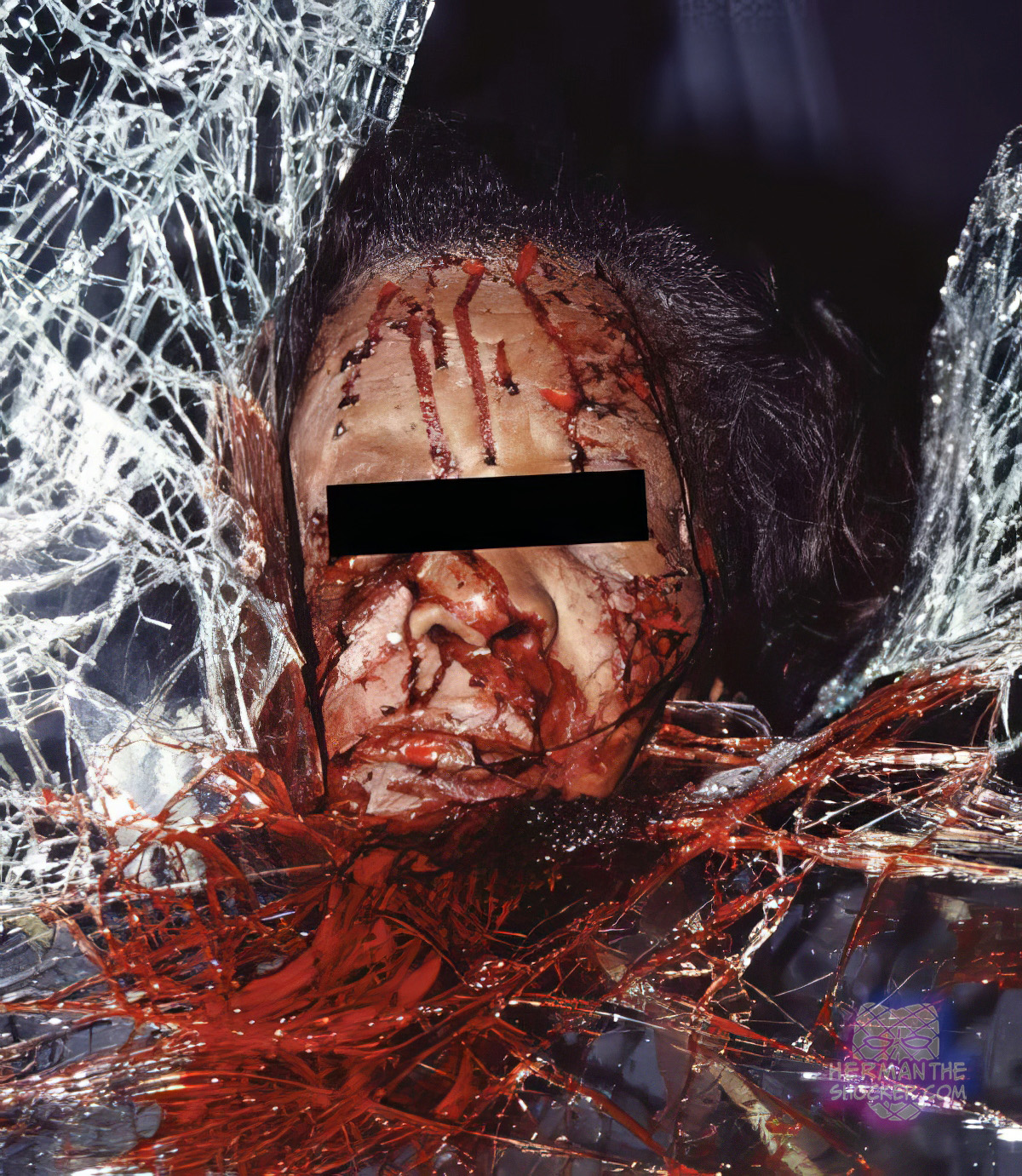 Passenger propelled forward during a front-end collision